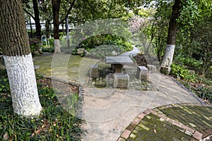The forest path in the park photo