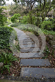 The forest path in the park photo