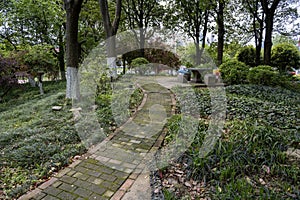 The forest path in the park photo