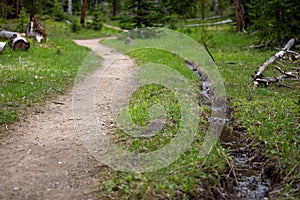 Forest Path and Small Stream in Rocky Mountain National Park