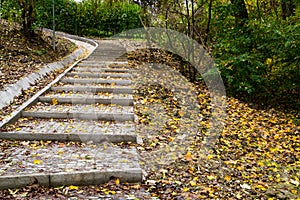 Forest path with stairs