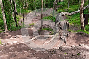 Forest path Up on Phu Kradueng.