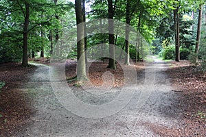 Forest path, Utrechtse heuvelrug