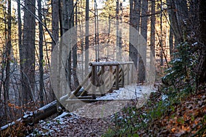 A forest path with a wooden walkway