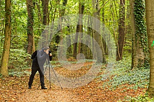 Forest photographer