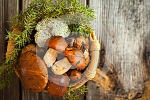 Forest picking mushrooms in a basket