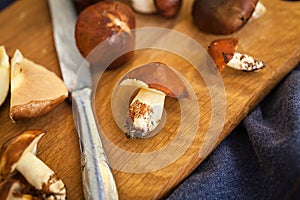 Forest picking mushrooms. Edible mushroom Suillus luteus