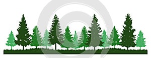 Forest Pine Tree evergreen Silhouette Clipart