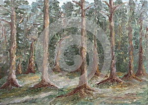 Forest of pine trees oil painting