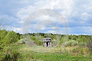 Forest, pines, firs, an old barn in the field. Deciduous trees, young foliage and grass. Cloudy sky