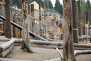 Forest play field
