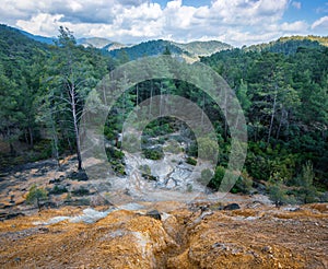 Forest polluted with chemicals from abandoned pyrite mine