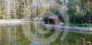 Forest and pond, complexity and naturalness, all in one, mountain, sea, lake