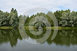 Forest pond creates an atmosphere of peace and tranquility, exotic trees adorn the river on all sides, in the sky clouds, water