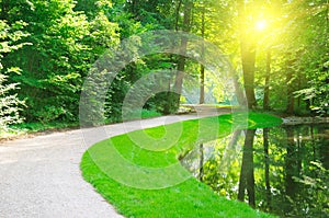 Forest and pond with reflection of trees and sun