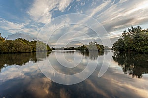 Forest Ponds Symetry