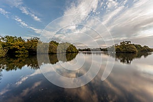 Forest Ponds Symetry