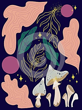forest poster with mushrooms and forest leaves with fairy dust and stars