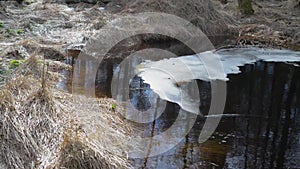 Forest puddle moor lake pool brown winter