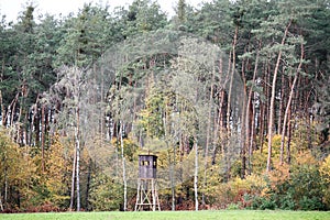 Forest pulpit near autumn forest