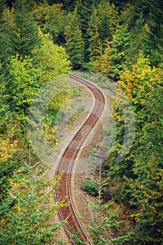 Forest railroad