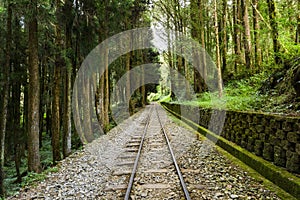 The forest railway through into Alishan Forest.