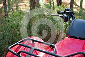 In the Forest, a Red Four Wheeler