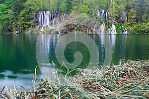 Forest, Reeds, Lake, and Waterfalls in Spring