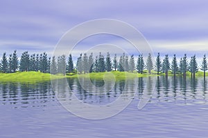 Forest reflected on lake