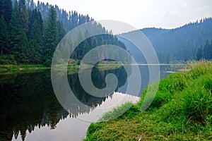 The forest reflected in the Lochsa River near Syringa, Idaho, USA photo