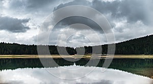 Forest reflected in water of the Black Lake