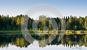 Forest reflecting on lake