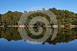 Forest reflection in lake