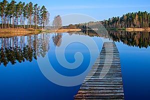 Forest reflection in the lake