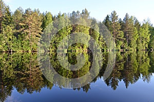 Calm summer evening in a river photo