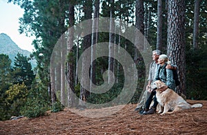 Forest, relax and hiking, old couple with dog on nature walk and mountain view in Peru. Travel, senior man and woman