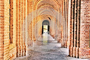 Forest Research Institute Dehradun Indoor shoot