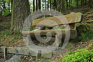Forest rest stop bench carved from solid wood