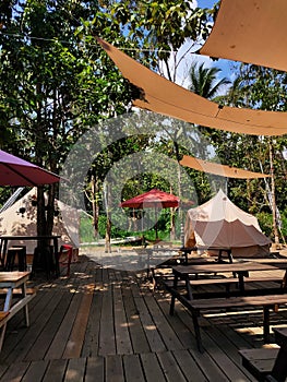 Forest and resto