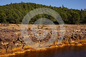 Forest in Rio Tinto, Huelva