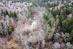 Forest, river, aerial landscape. Nature at early spring. Treetops, aerial view