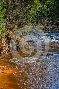 Forest river. Amata