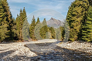 Forest river Bela with small round stones and coniferous trees on both sides, sunny day, Krivan peak - Slovak symbol - in distance