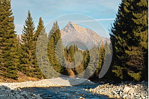 Lesná rieka Belá s okrúhlymi kamienkami a ihličnatými stromami po oboch stranách, slnečný deň, vrch Kriváň - slovenský symbol - v diaľke
