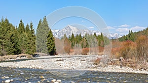 Lesná rieka Belá s okrúhlymi kamienkami a ihličnatými stromami a hnedými kríkmi po oboch stranách, slnečný deň, vrch Kriváň - slovenský