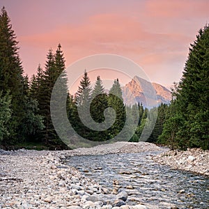 Lesní řeka tekoucí, jehličnaté stromy na obou stranách, hora kriváň vrchol slovenský symbol s růžovými / červenými mraky nad v dálce