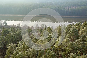 Forest and river landscape panorama, the Nemunas river near Birstonas, Lithuania