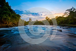 Forest, River, Spring - Flowing Water, Springtime, Water