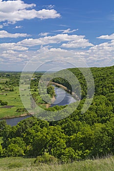 Forest and river in Spring.May.Ukraine.Vertical frame.