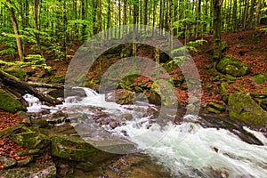 Forest river in spring. water flows among the mossy rocks. refreshing nature background